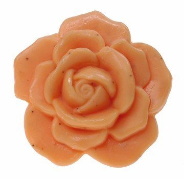 Ovis-Seife Rose Aprikose 6 cm 30 g