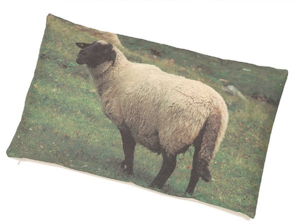 Kissen Schaf Wiese 30 x 50 cm gefüllt mit Tencel®